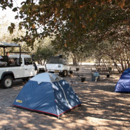 Safari Camp Botswana